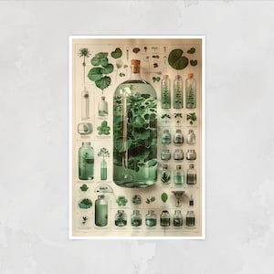 May include: A vintage botanical illustration poster featuring a large glass bottle filled with green leaves and smaller bottles containing various plant specimens. The poster has a cream background with black text and illustrations.