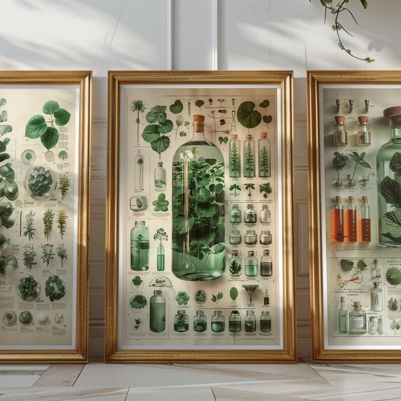 May include: Three framed botanical prints with illustrations of plants and flowers in glass bottles. The center print features a large bottle filled with green leaves and a smaller bottle with a single flower.