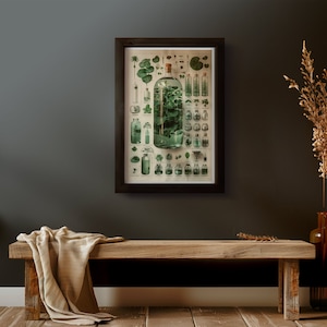 May include: A vintage botanical illustration of various plants and flowers in glass bottles. The illustration is framed in a dark wood frame and hangs on a dark gray wall.