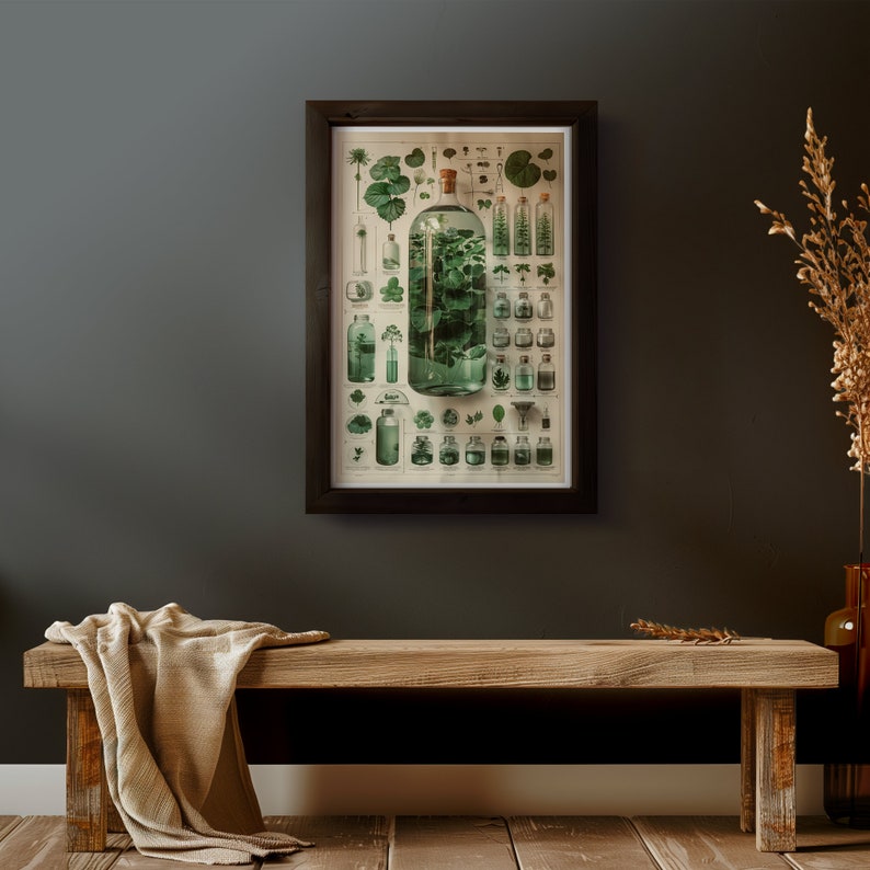 May include: A vintage botanical illustration of various plants and flowers in glass bottles. The illustration is framed in a dark wood frame and hangs on a dark gray wall.