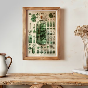 May include: A vintage botanical illustration poster featuring a large glass bottle filled with green leaves and smaller glass bottles containing various plant specimens. The poster is framed in a rustic wooden frame.