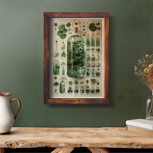 May include: A vintage botanical illustration poster in a brown frame, featuring a large glass bottle filled with green leaves and smaller bottles containing various plant specimens.