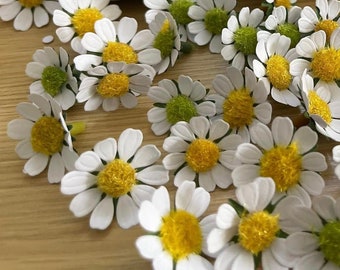 Paper Daisy, Floral Daisies, Handmade Paper Flower