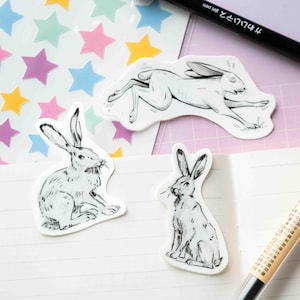 Set di adesivi lepre, set di adesivi coniglio malato, set di adesivi coniglietto, adesivo lepre, adesivo coniglio, adesivo coniglietto, lepre, coniglietto, coniglio