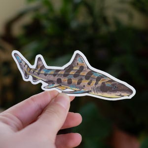 Leopardenhai Aufkleber, Hai Aufkleber, Leopardenhai, süßer Hai, süßer Hai Aufkleber, Ozean, Ozean Aufkleber, Meer, Meer Aufkleber