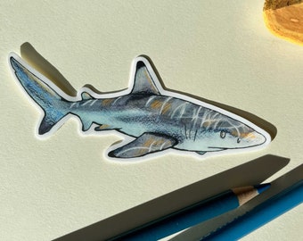 Reef Shark Sticker, Waterproof Vinyl