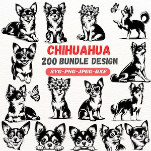 Könnte beinhalten: Eine Sammlung von schwarz-weißen Chihuahua-Hundedesigns in verschiedenen Posen. Einige Chihuahuas tragen Sonnenbrillen, Blumenkränze oder interagieren mit Schmetterlingen. Der Text "CHIHUAHA 200 BUNDLE DESIGN" ist rot.