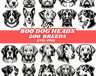 SVG-bundel hondenrassen: 800 hondenkoppen clipart (digitale download)