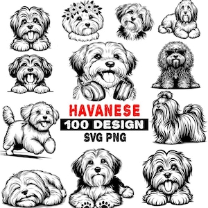 Pacote para amantes de cães havaneses: downloads digitais instantâneos de arquivos SVG e PNG, perfeitos para donos de animais de estimação, artesãos e entusiastas de cães!