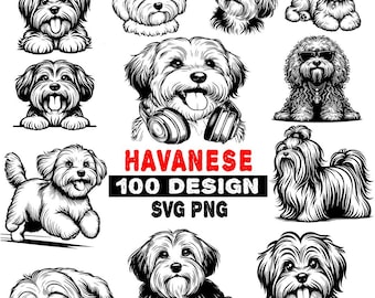 Havanese Dog SVG PNG Bundle: 100 Unique Designs (Digital Download)