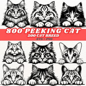 Cat Breeds SVG & PNG Bundle, 800 Peeking Cat, Cut Files for Instant Digital Download and Easy Cutting Projects