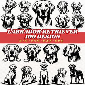 May include: Black and white Labrador Retriever designs. The image features various illustrations of Labrador Retrievers in different poses and expressions. Text reads "Labrador Retriever 100 Design" with file type options.