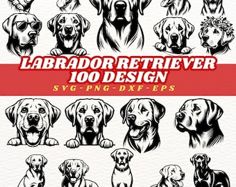 Labrador retriever-clipartbundel – handgetekende hond SVG, PNG, DXF