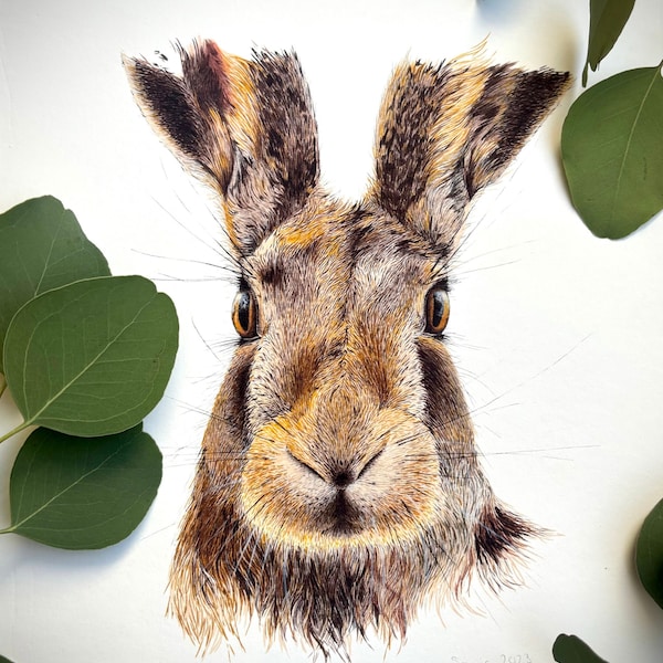 Kunstdruck Digitaldruck von Zeichnung - Hase Kaninchen Waldtier