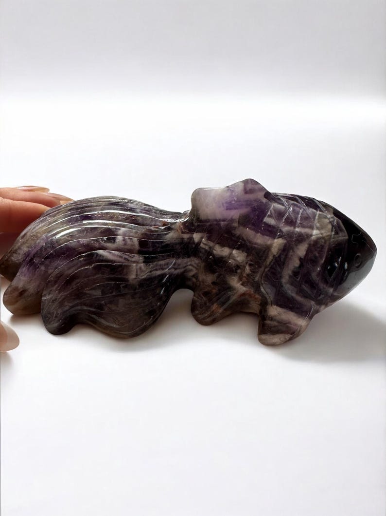 Large Dream Amethyst Goldfish Carving – Chevron Amethyst Crystal Sea ...