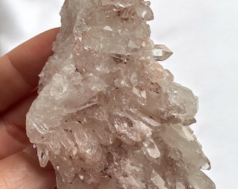 May include: A cluster of clear quartz crystals with a reddish-pink hue. The crystals are tightly packed together, forming a rough, textured surface. The natural formation is held in a hand against a white background. The quartz cluster is a mineral specimen.