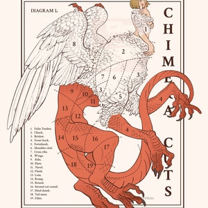 Puede incluir: Un diagrama de una quimera, una criatura mítica con cabeza de león, cuerpo de cabra y cola de serpiente. El diagrama está etiquetado con números y nombres de diferentes cortes de carne. El diagrama se titula "Diagrama I. Cortes de Quimera."