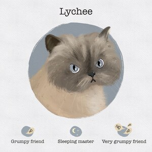 Retrato de gato, retrato digital de gato, retrato de gato personalizado, retrato de gato personalizado, ilustración de gato personalizada, retrato de mascota, regalo para amantes de las mascotas