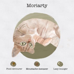 Retrato de gato personalizado, retrato de gato digital, retrato de gato personalizado, retrato de gato, ilustración de gato personalizada, retrato de mascota, regalo para amantes de las mascotas