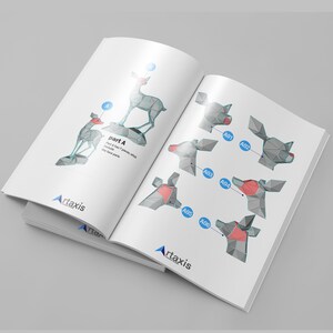 May include: A booklet with instructions for building a 3D paper model of a deer. The booklet shows the individual pieces and how to assemble them. The booklet is titled "Part A" and has the text "Art axis" on the cover.