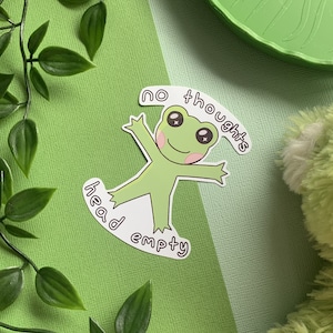 Geen gedachten hoofd leeg sticker, schattige kikker stickers, herkenbare stickers, kikker geschenken vinyl sticker, grappige sticker, kikker sticker