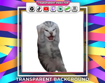 Crying Cat Meme Transparent Background Dramatic Cat Funny with Audio Stream Alert Webm file | Twitch Youtube OBS Tiktok Animated Emotes Gif