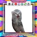 see more listings in the Trend Cat Memes | Tiktok section