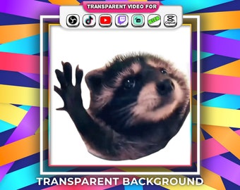 Transparenter Hintergrund Pedro Dancing Racoon Memes Animierte Emotes 28px, 56px, 112px mit Audio Stream Alert Webm | Twitch OBS Tiktok Gif