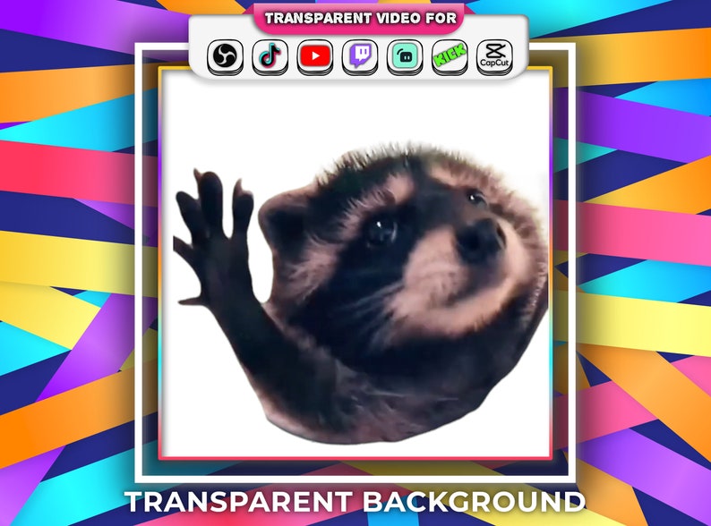 Transparent Background Pedro Dancing Racoon Memes Animated Emotes 28px, 56px, 112px with Audio Stream Alert Webm Twitch OBS Tiktok Gif image 1