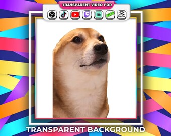 Dancing Dog Corgi Meme, Transparent Background, Tiktok Viral Dancing Dog Meme with Audio Stream Alert Webm | Twitch Youtube Animated Emotes