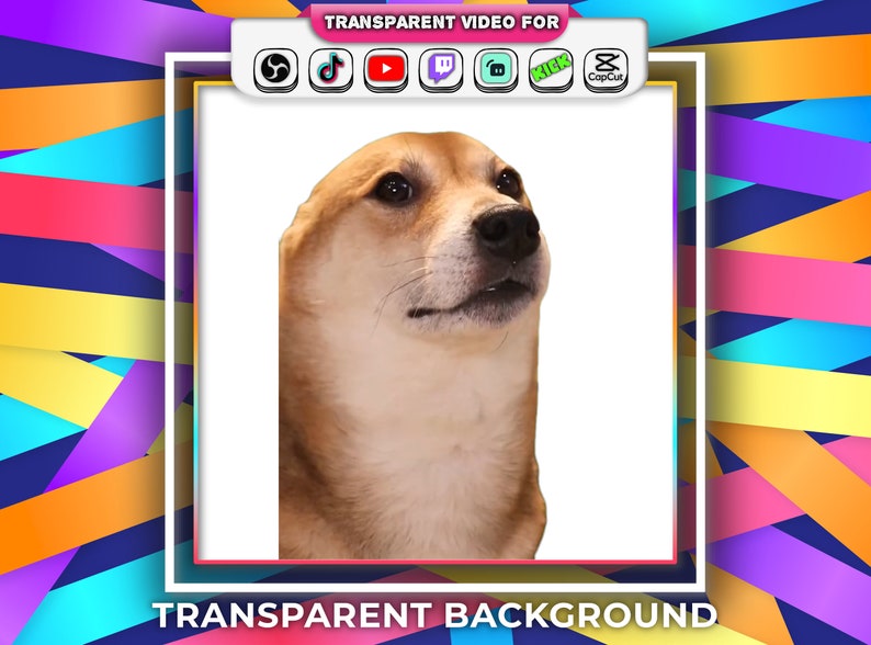 Dancing Dog Corgi Meme, Transparent Background, Tiktok Viral Dancing Dog Meme with Audio Stream Alert Webm Twitch Youtube Animated Emotes zdjęcie 1