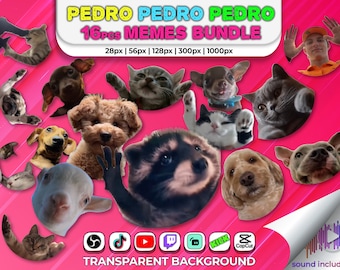 Transparent Background Pedro Dancing Meme Bundle | 16pcs Cat & Dog Meme | Animated Emote 28px, 56px, 112px Audio Tiktok Trend Raccoon Animal