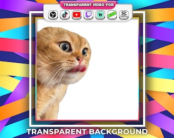 Talking Cat Meme Transparent Background Funny Cat Talking Tiktok Meme, two cats talking meme, viral cats with Audio Stream Alert Webm file
