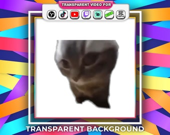 Fondo transparente Chipi Chipi Chapa Gato Bailando Meme Divertido con Audio Stream Webm archivo / Twitch Youtube OBS Tiktok Emotes Popular Gif