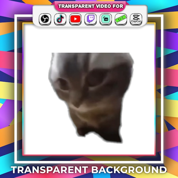 Transparent Background Chipi Chipi Chapa Cat Dancing Meme Funny with Audio Stream Webm file | Twitch Youtube OBS Tiktok Emotes Popular Gif