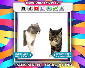 Fondo transparente Meme de gatos parlantes con alerta de transmisión de audio Webm / Twitch OBS Tiktok Youtube / Emotes animados 28px, 56px, 112px gif