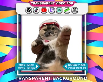 Transparent Background Dancing Cat "I Love You Baby" Meme Animated Emotes 28px, 56px, 112px with Audio Stream Alert Webm | Twitch Tiktok OBS