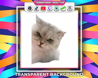 Fondo transparente Meme de gato enojado comiendo con alerta de transmisión de audio Archivo Webm / Twitch Youtube OBS Tiktok Emotes animados Memes populares Gif