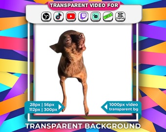 Transparent Background Dog Screaming Memes Animated Emotes 28px, 56px, 112px with Audio Stream Alert Webm | Twitch Youtube OBS Tiktok Funny