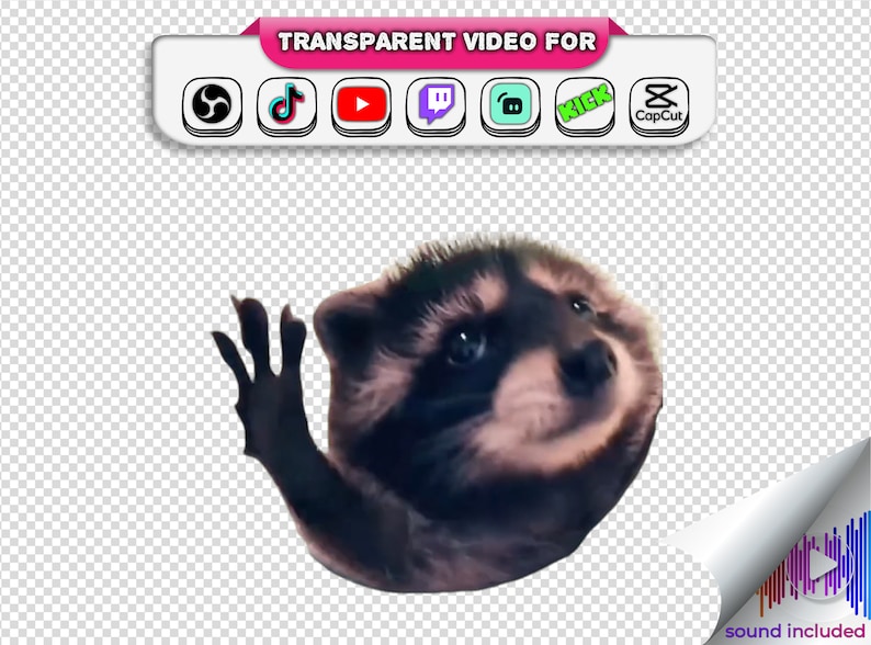 Fondo transparente Pedro Dancing Racoon Memes Emotes animados 28px, 56px, 112px con alerta de transmisión de audio Webm / Twitch OBS Tiktok Gif imagen 2