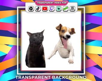 Laughing Dog With Black Cat Zoning Out Meme Transparent Background Memes Funny with Audio Stream Tiktok Alert Webm file |  Animated Emotes