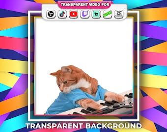 Mèmes de chat avec clavier à fond transparent avec fichier Webm d'alerte de flux audio | Twitch Youtube OBS Tiktok Émoticônes animées Meme Gif populaire