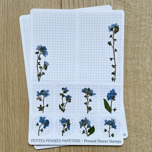 Hojas de pegatinas con sellos de flores prensadas reales para llevar un diario, pegatinas florales y efímeras para diario, pegatinas de flores de nomeolvides
