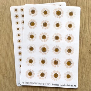 Feuille d'autocollants blancs pressés de marguerites, autocollants réalistes de journal de fleurs pressées