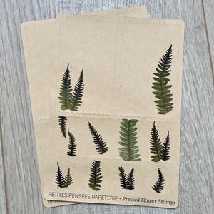 Echte Farn Stempel für Journaling und Pen Pal Briefe, Farn Aufkleber und Ephemera, echte Farne auf Kraft Aufkleber