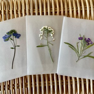 Pochettes à fleurs pour tenir un journal avec de vraies fleurs pressées et un support adhésif, des papiers éphémères pour le journal