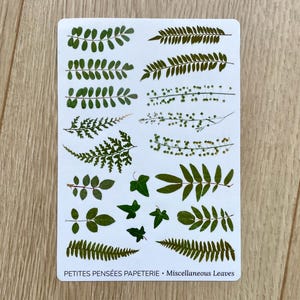 Gepresste Blätter Stickerbogen, verschiedene realistische Blätter Sticker