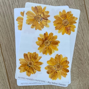 Feuille d'autocollants de grandes fleurs jaunes, autocollants pressés de marguerite, autocollants réalistes de journal de washi de fleurs pressées