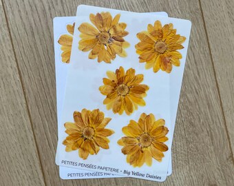 Pressed Daisy Stickers: Yellow Floral Journal Stickers