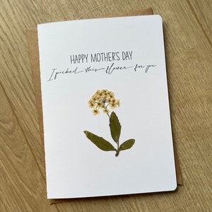 Moederdagkaart: Fijne Moederdag, dit bloemetje heb ik voor je geplukt - met echte geperste bloemen